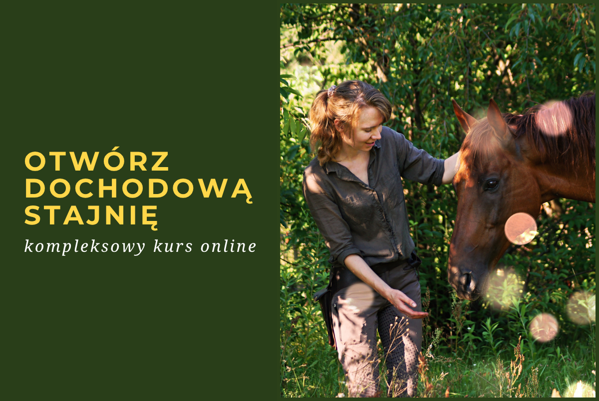 Otwórz dochodową stajnię