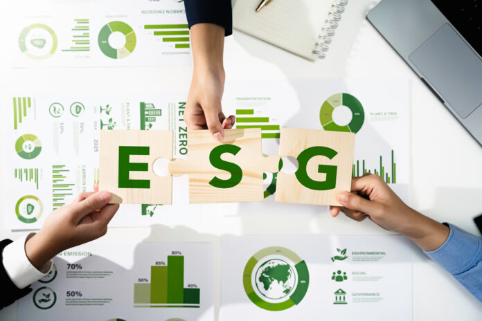 Standardy raportowania zrównoważonego rozwoju – wymogi  i przykłady zastosowania