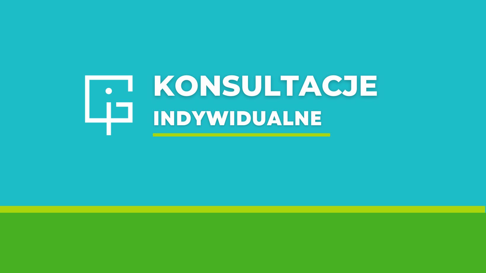 Konsultacja indywidualna 1h