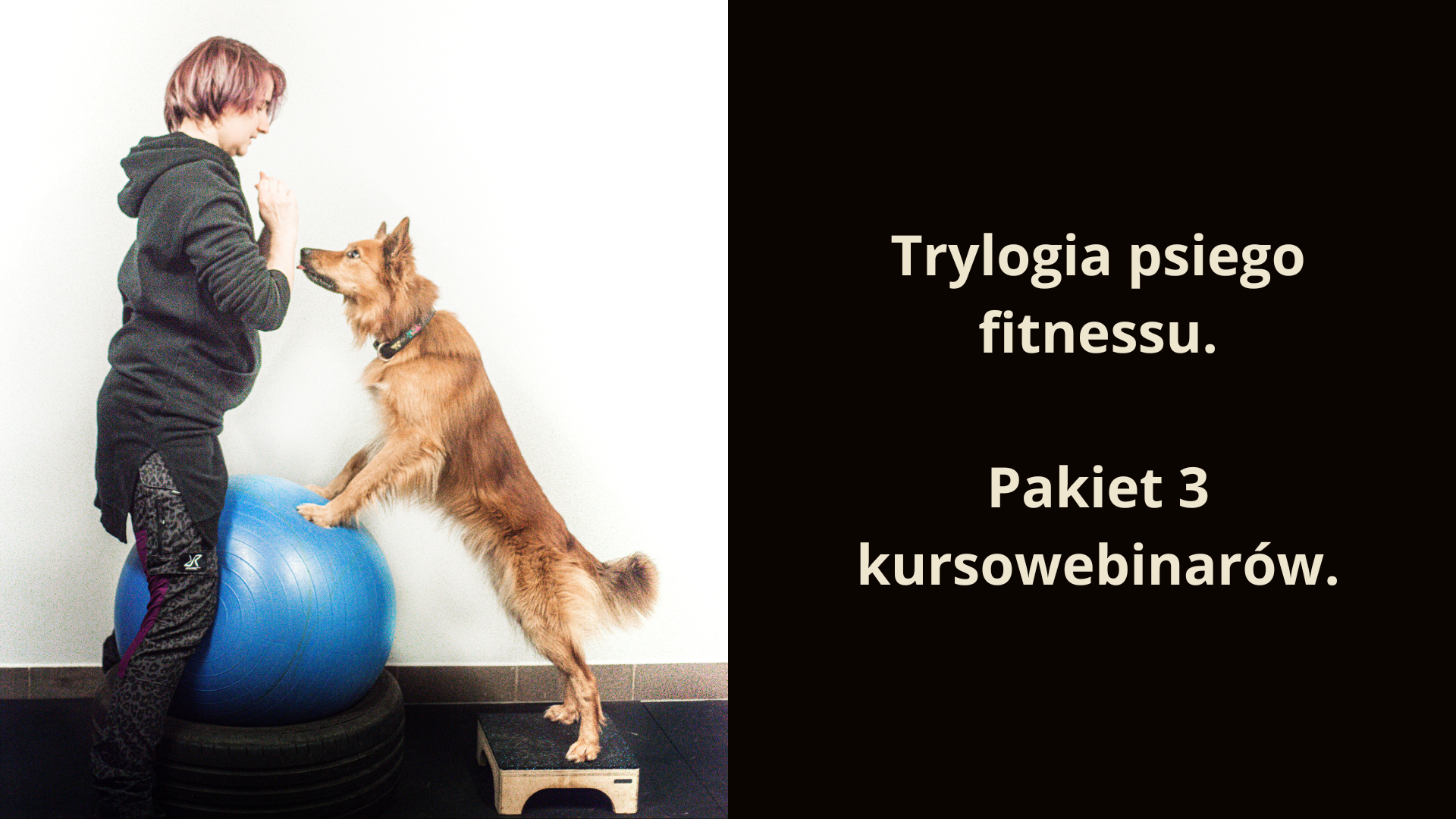 Trylogia psiego fitnessu