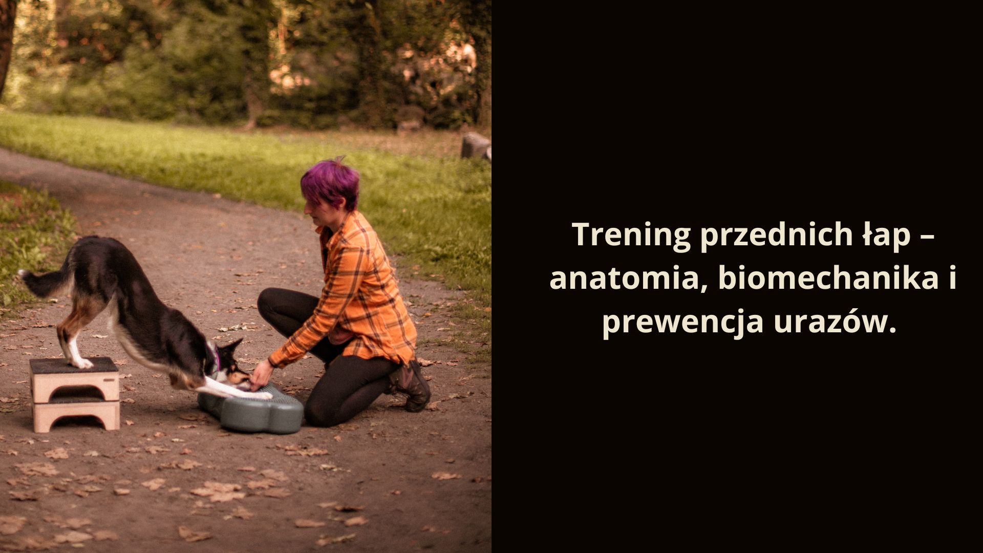 Trening przednich łap.