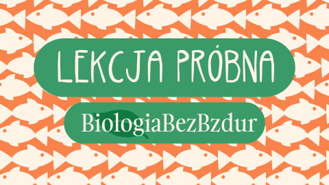 Lekcja Próbna