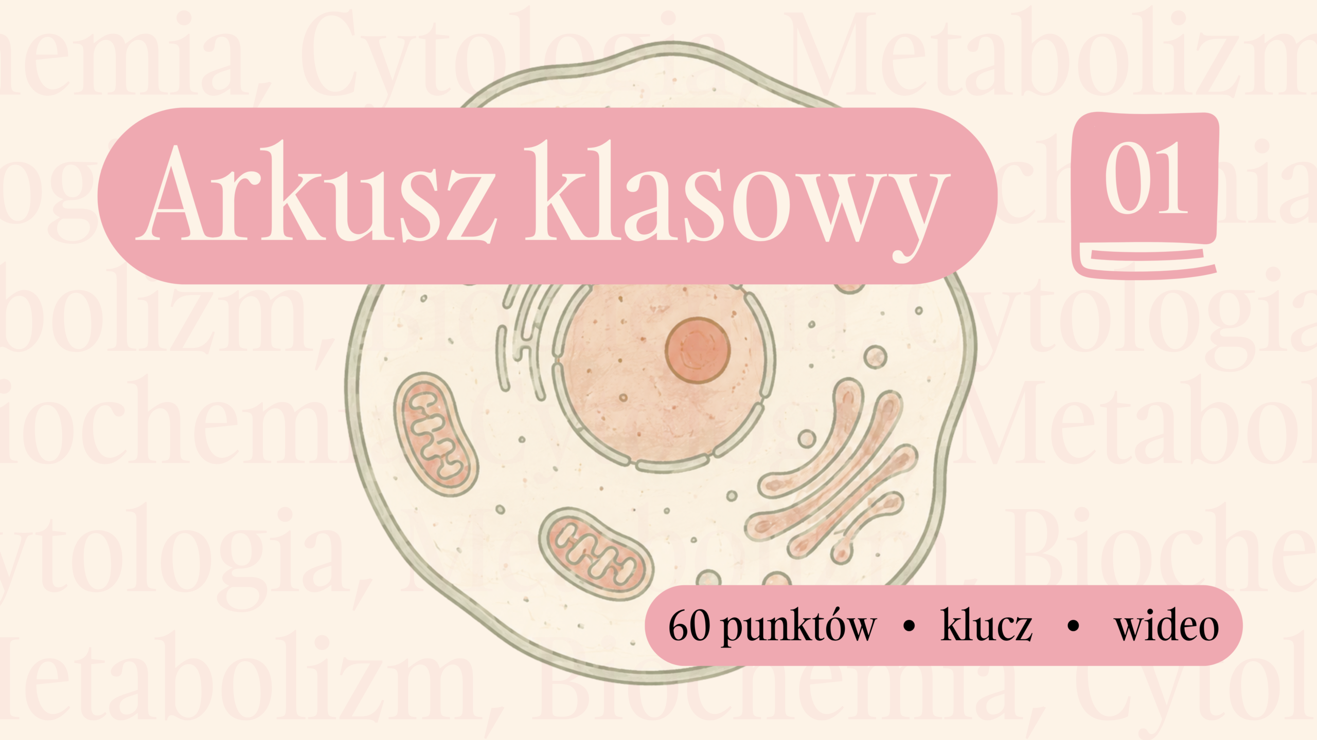 Arkusz powtórkowy KLASA 1