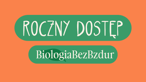 KURS TEORETYCZNY + PRAKTYCZNY CAŁOŚĆ