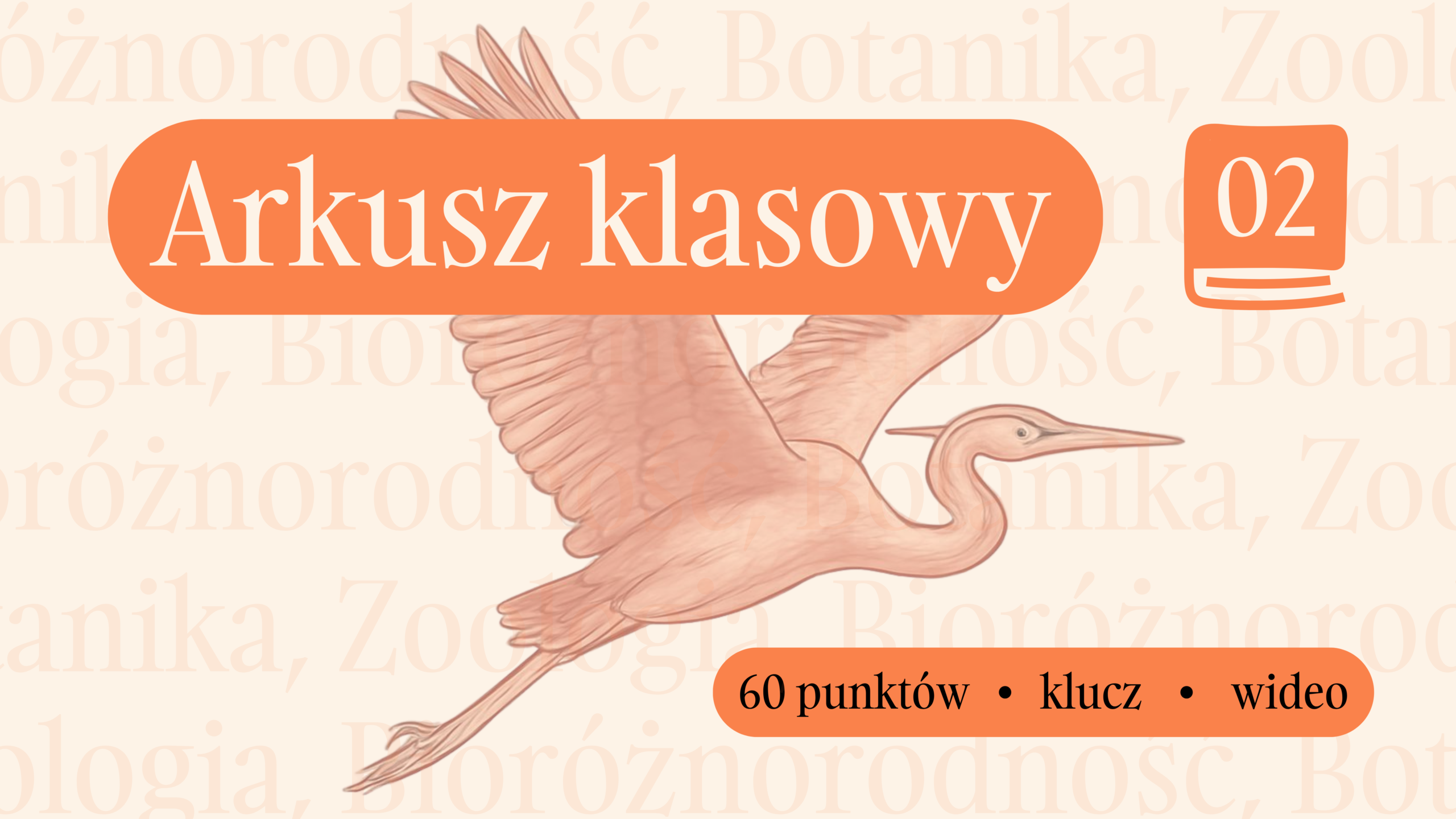 Arkusz powtórkowy KLASA 2