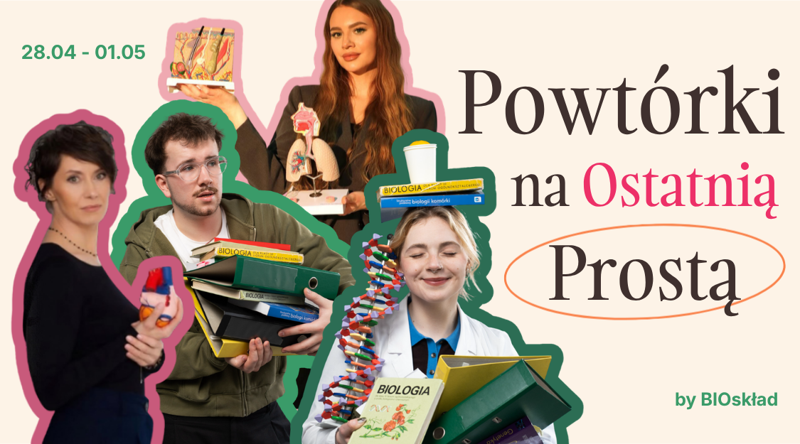 Powtórki na ostatnią PROSTĄ