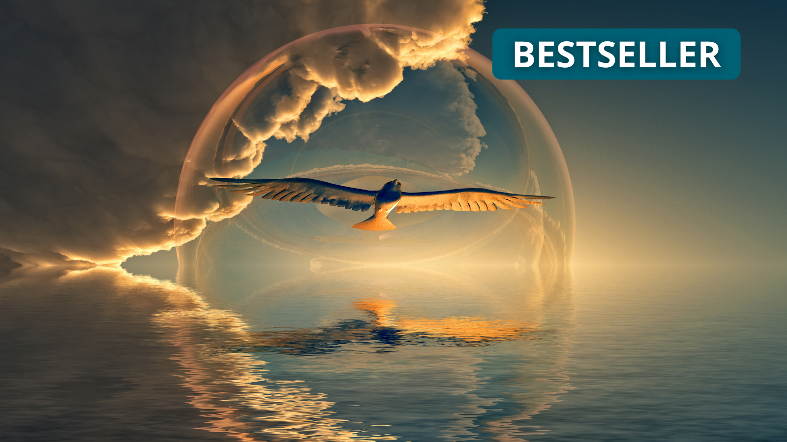 Odkryj Sekretne Przekazy Twojego Ciała – program Soul Coaching®