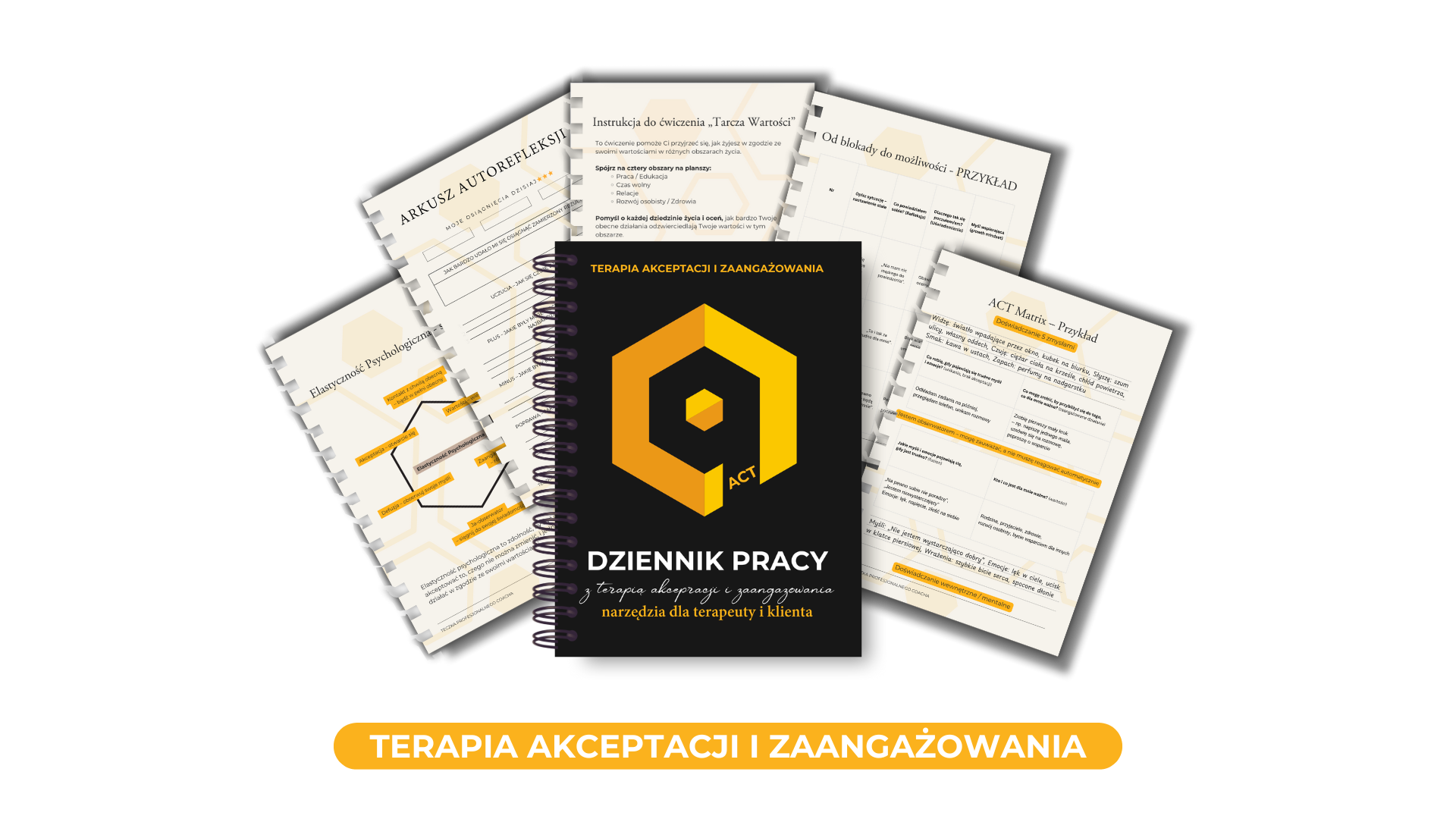 Dziennik pracy ACT - narzędzia dla terapeuty i klienta
