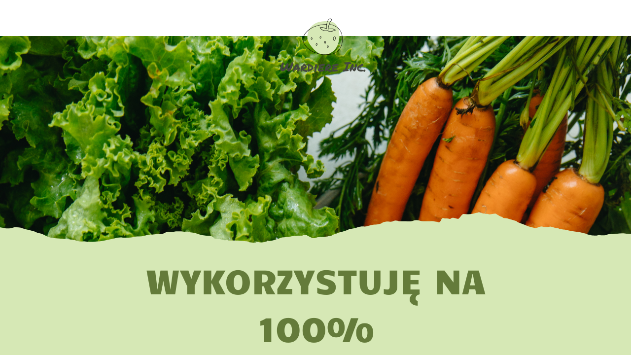 Wykorzystuję na 100% - PRZECHOWUJ JAK PROFESJONALISTKA!