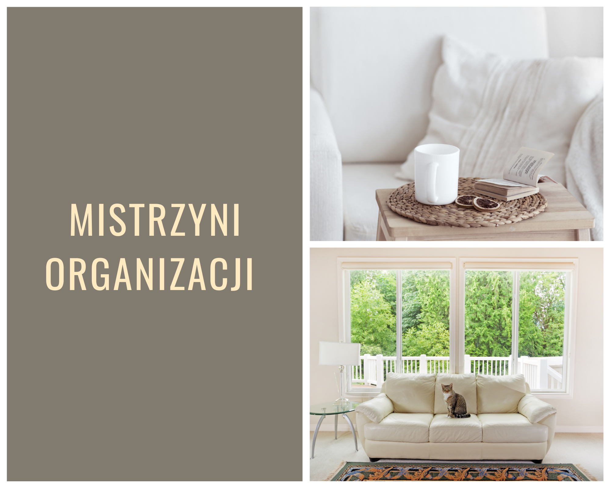 MISTRZYNI ORGANIZACJI