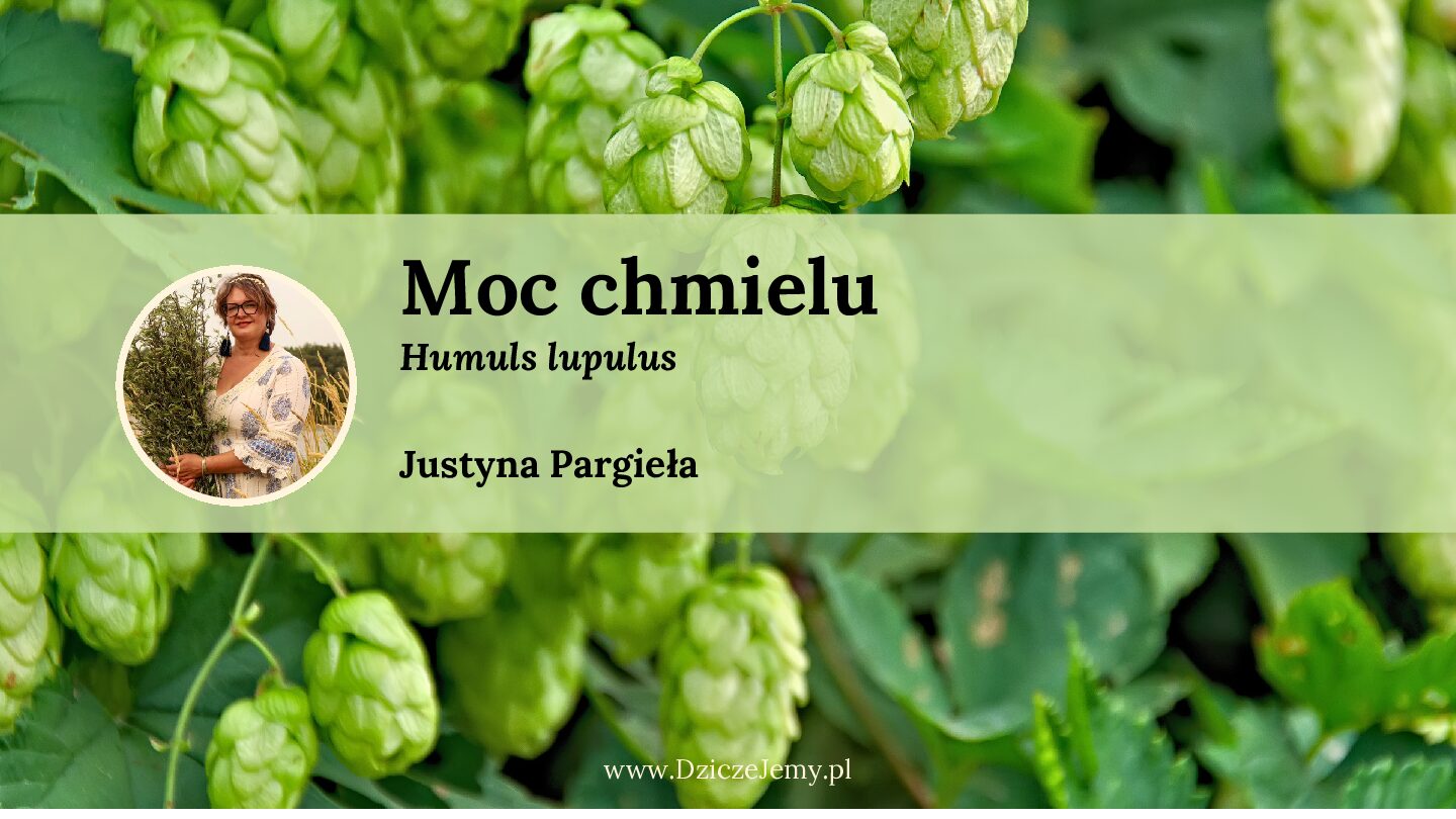 DzikiBox 09.2025 - Moc chmielu - webinar