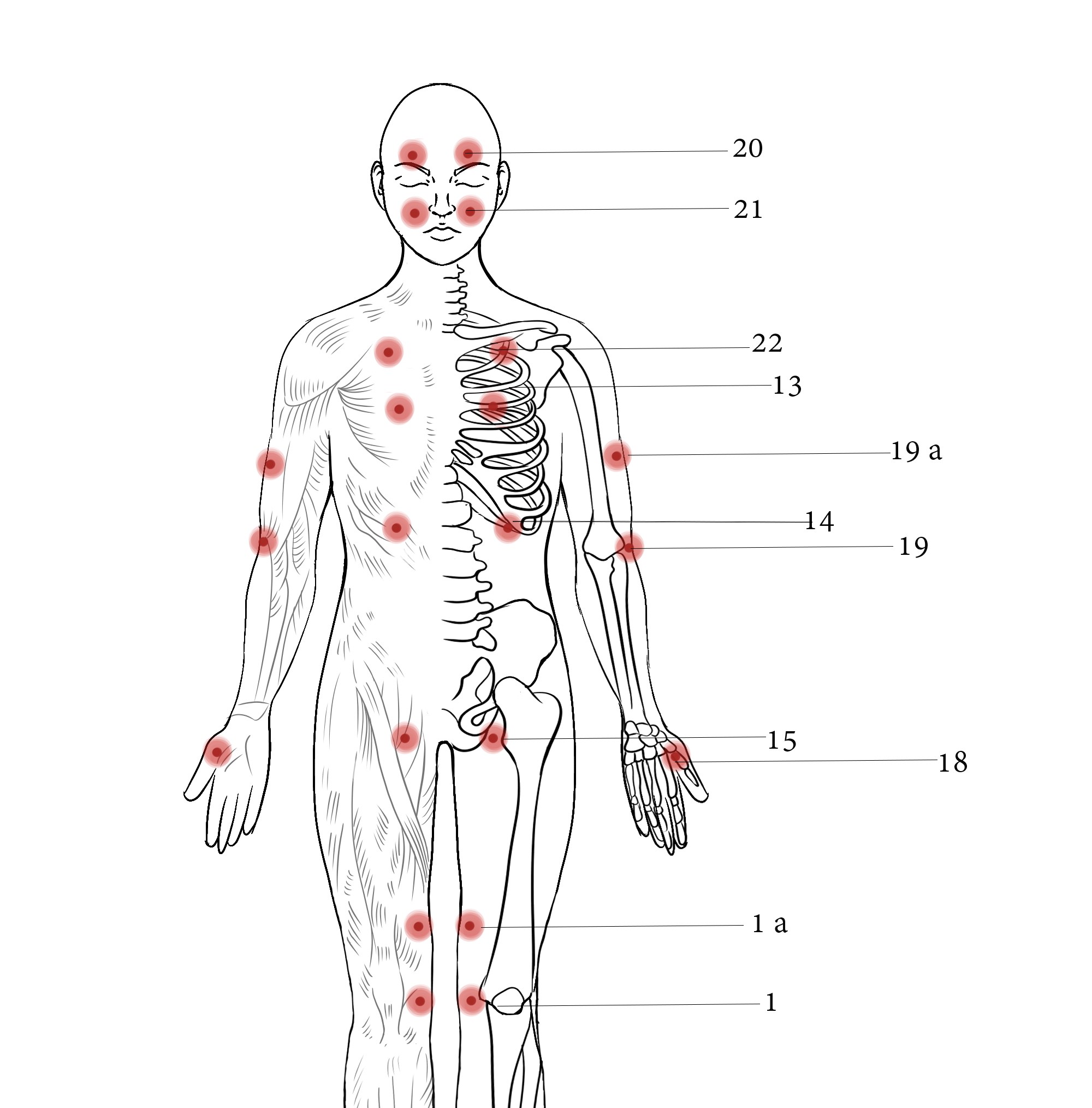 Energetyczne Zamki Bezpieczeństwa w Jin Shin Jyutsu [nagranie]