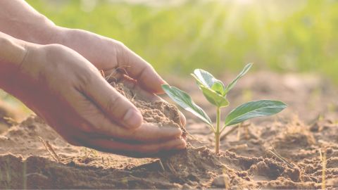 Samoregulacja i regeneracja z Jin Shin Jyutsu - warsztat online [nagranie]