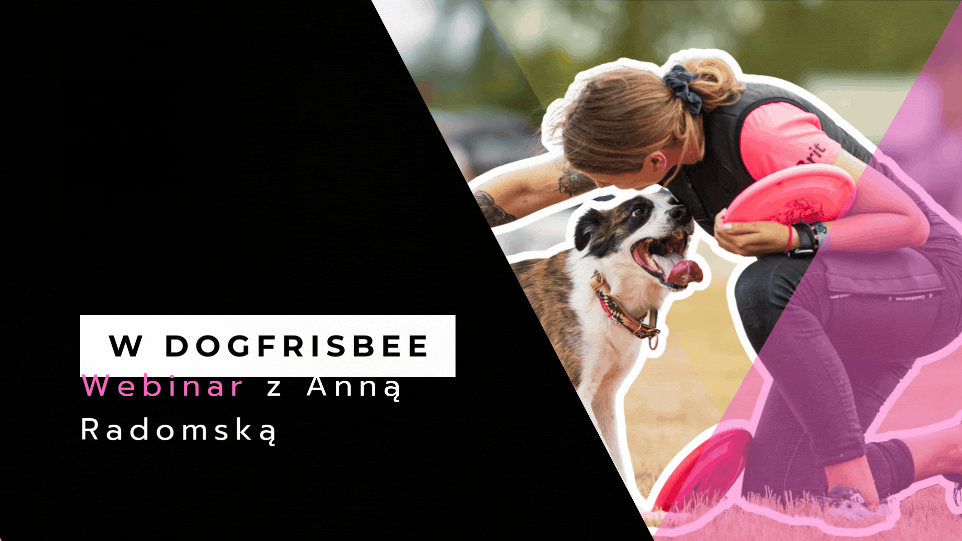 Wrażliwy pies w Dogfrisbee [NAGRANIE WEBINARU]