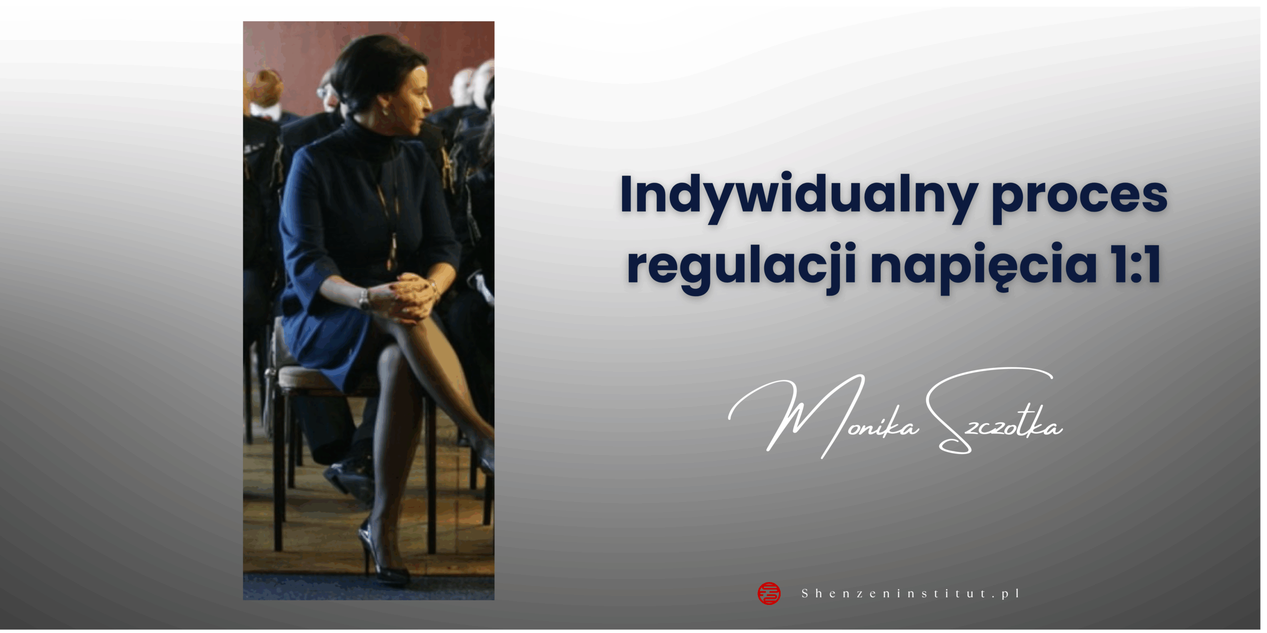 Indywidualny proces regulacji napięcia 1:1