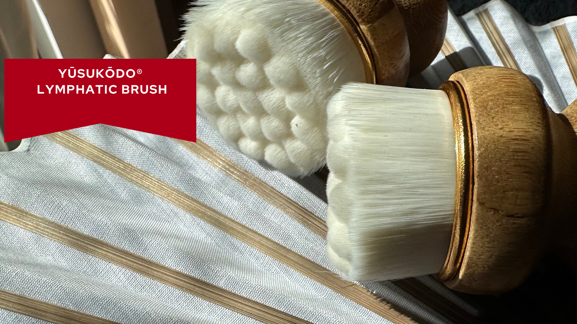 Yusukodo ® Lymphatic Brushes