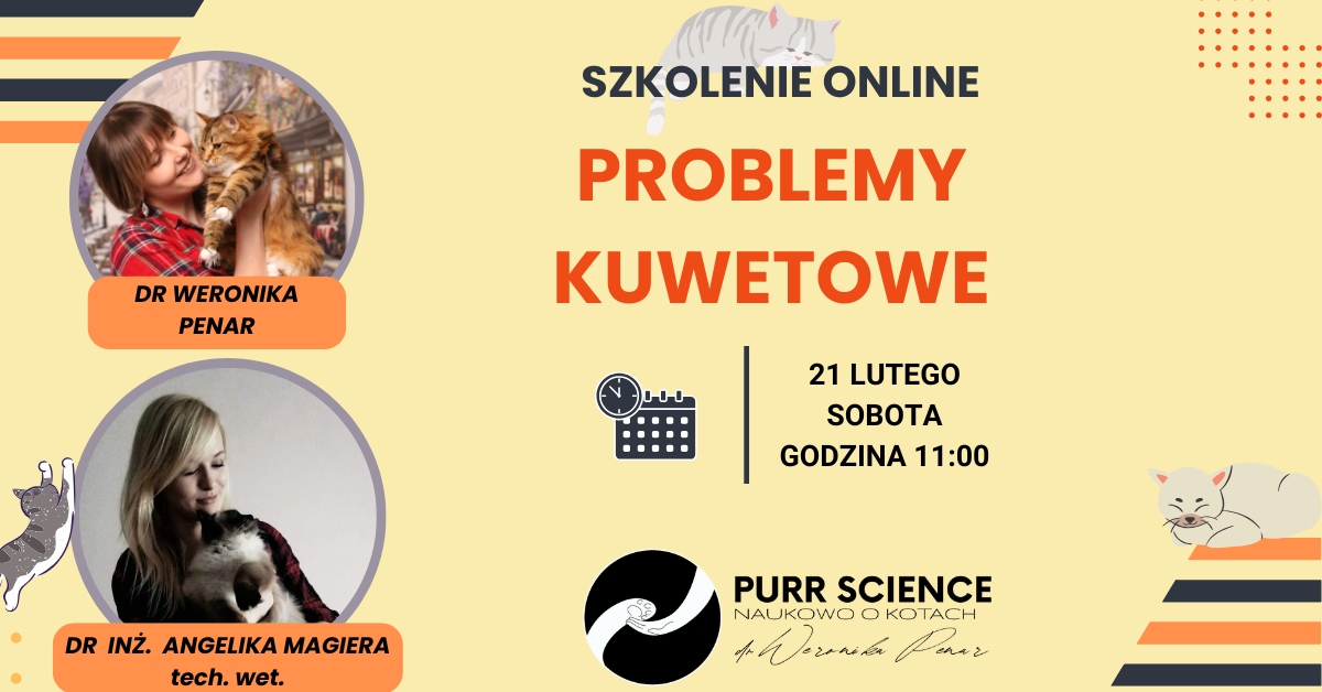 PROBLEMY KUWETOWE 21.02.2026