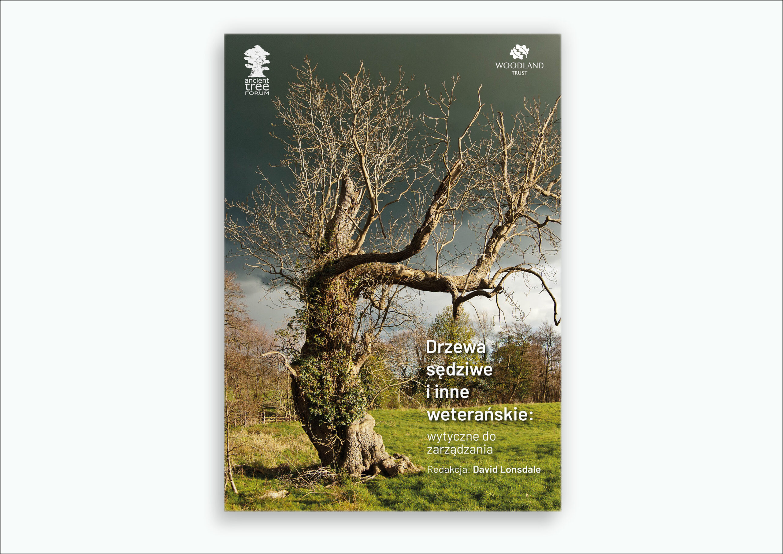 Drzewa sędziwe i inne weterańskie: wytyczne do zarządzania