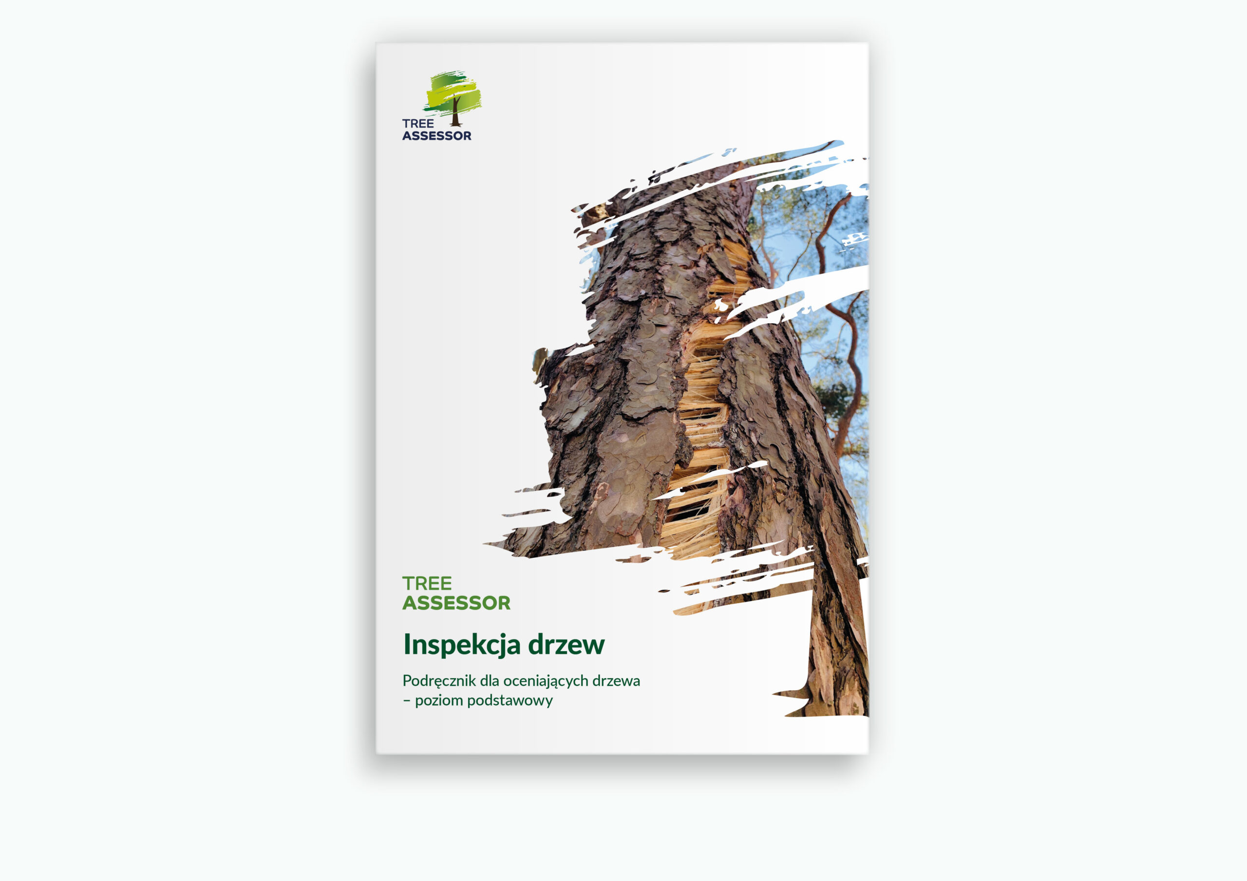 Inspekcja drzew. Podręcznik dla oceniających drzewa