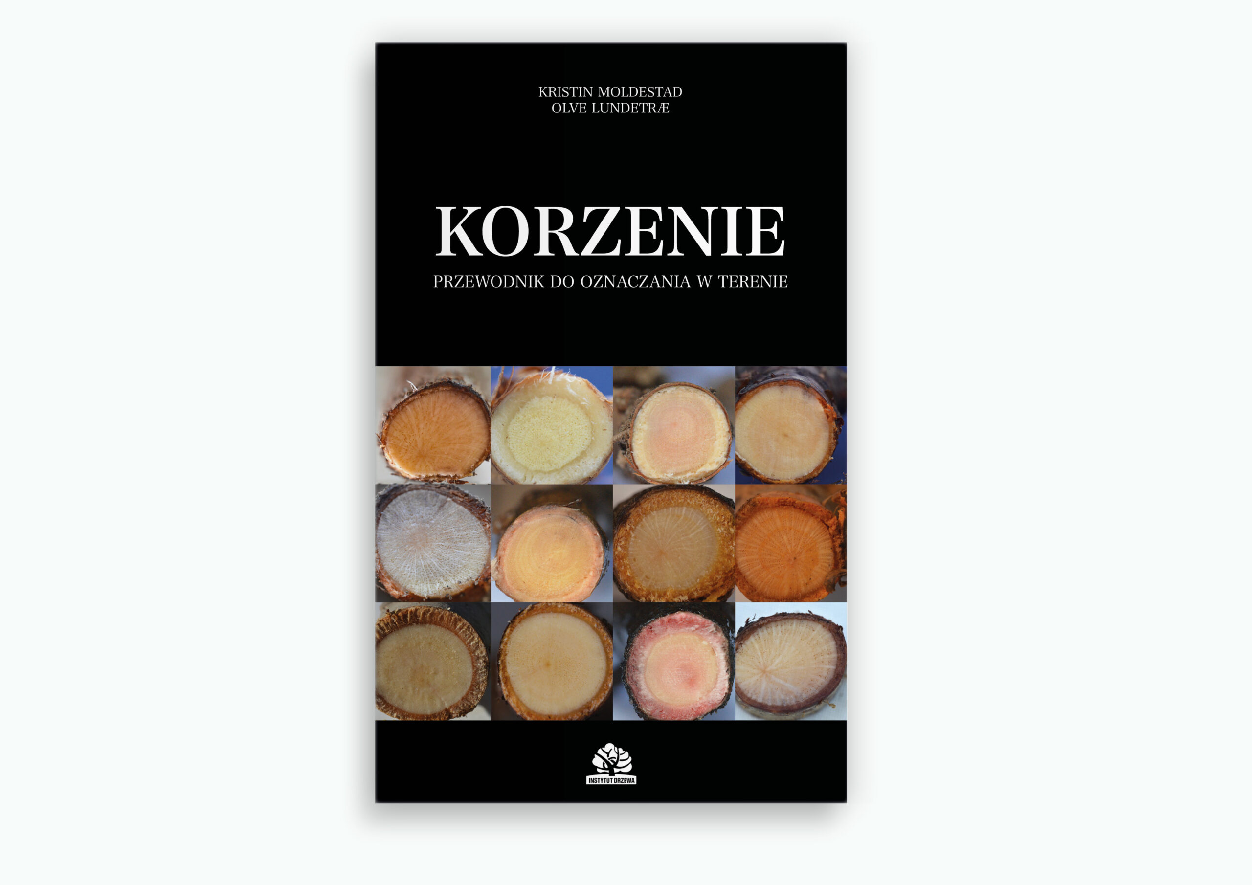 Korzenie. Przewodnik do oznaczania w terenie