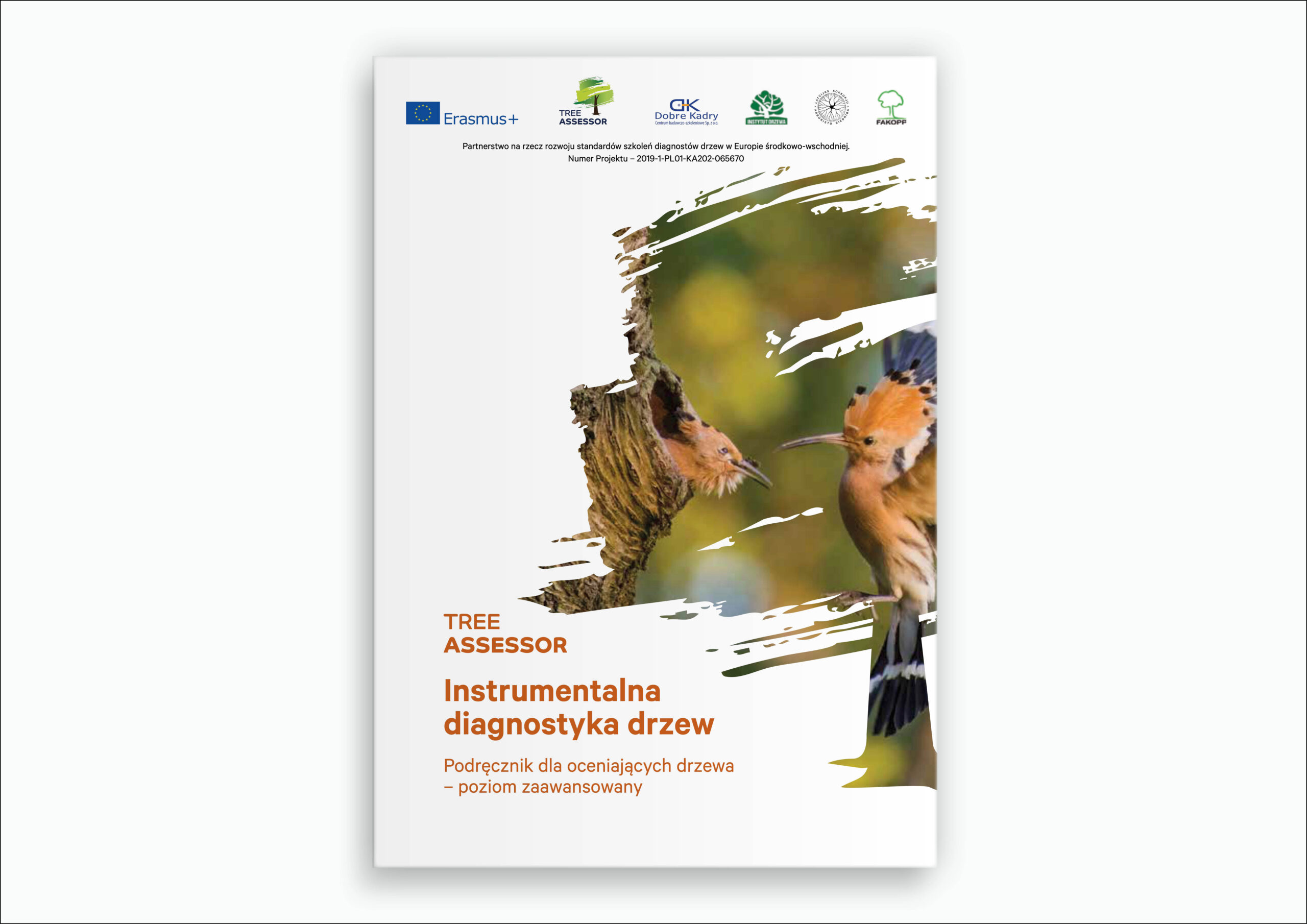 Instrumentalna diagnostyka drzew