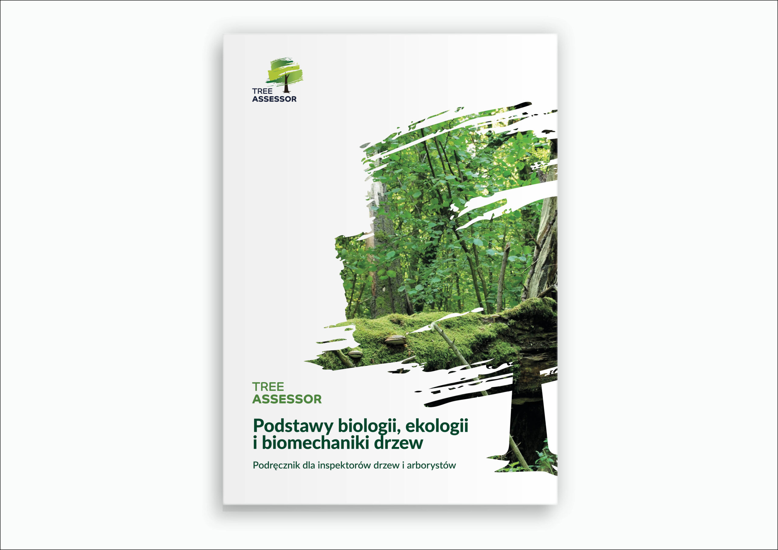 Podstawy biologii, ekologii i biomechaniki drzew