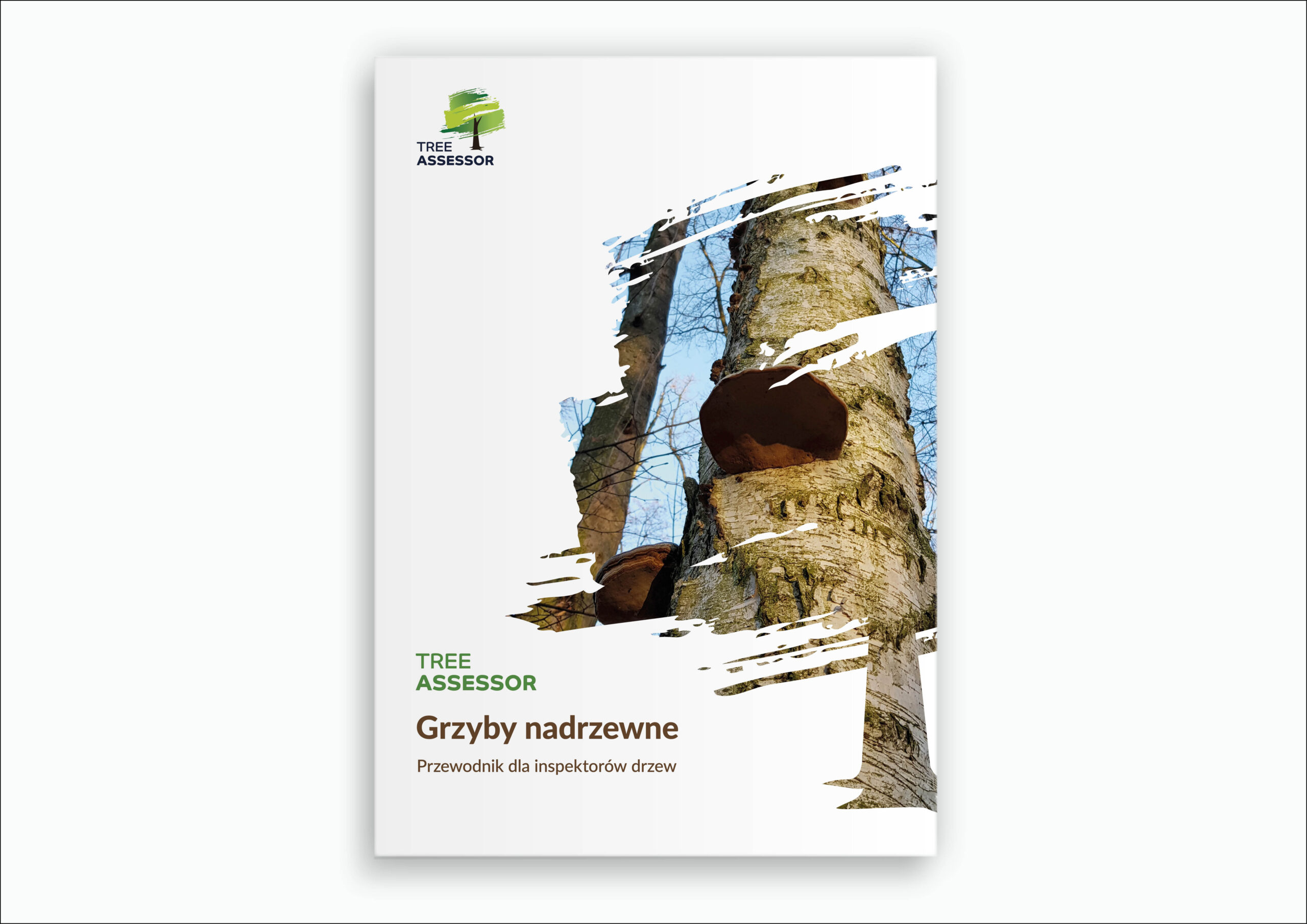 Grzyby nadrzewne. Przewodnik dla inspektorów drzew