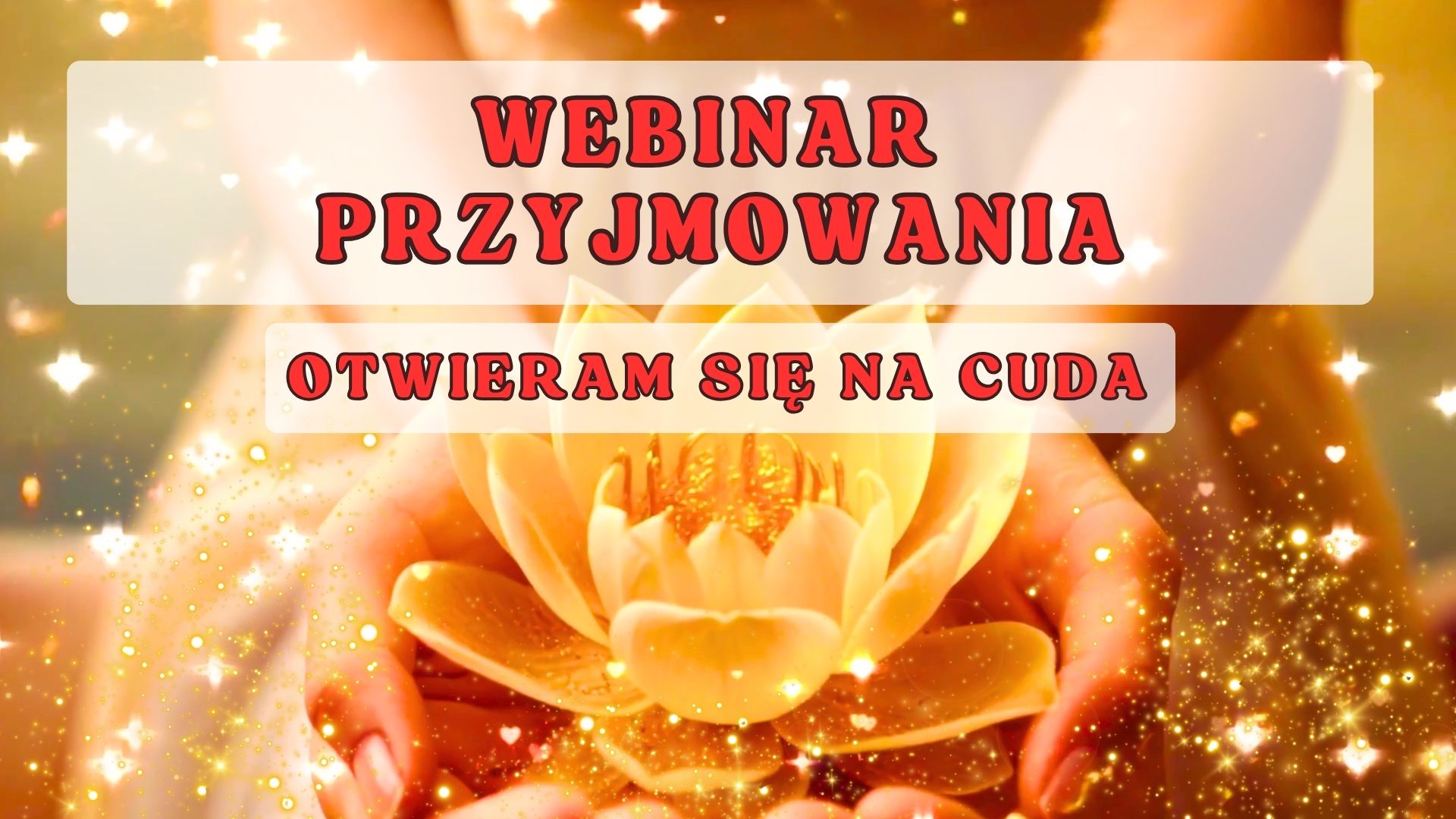 Webinar online - Webinar przyjmowania