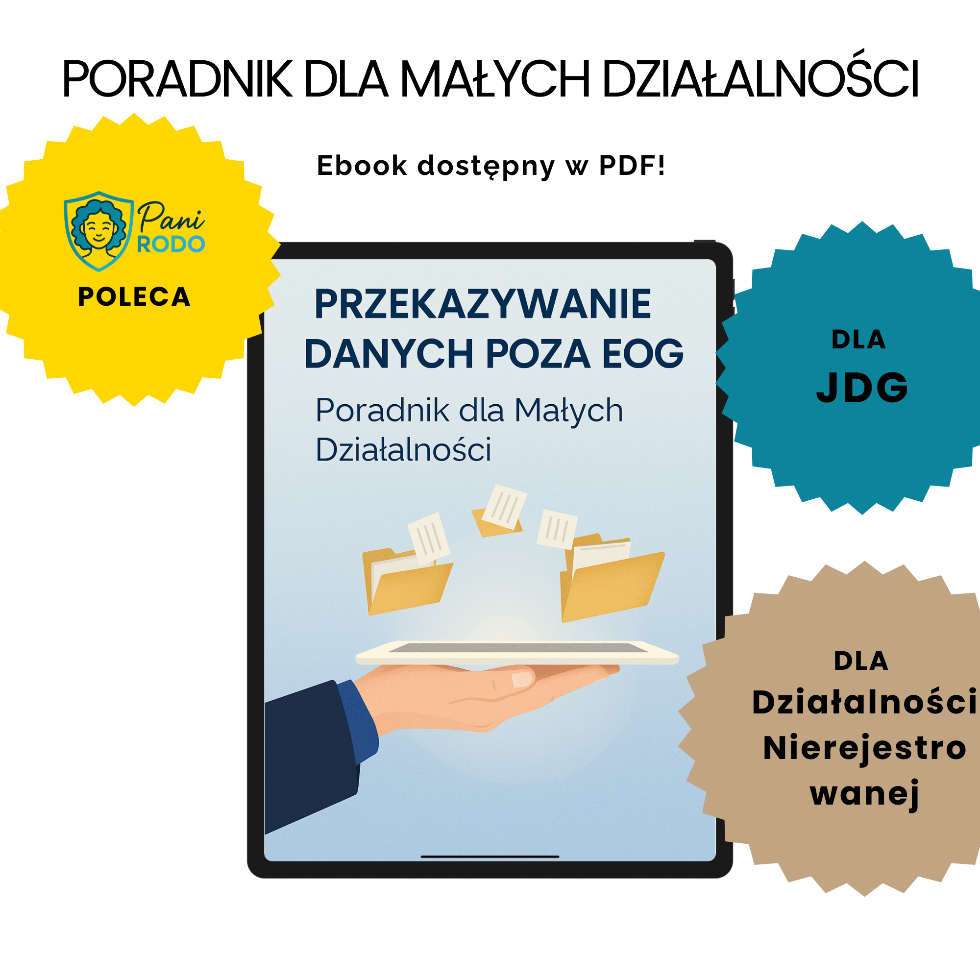 Przekazywanie danych poza EOG - Poradnik dla Małych Działalności
