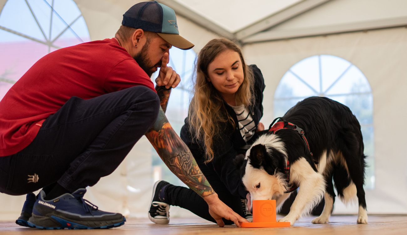 Kurs zawodowy - Instruktor Nosework