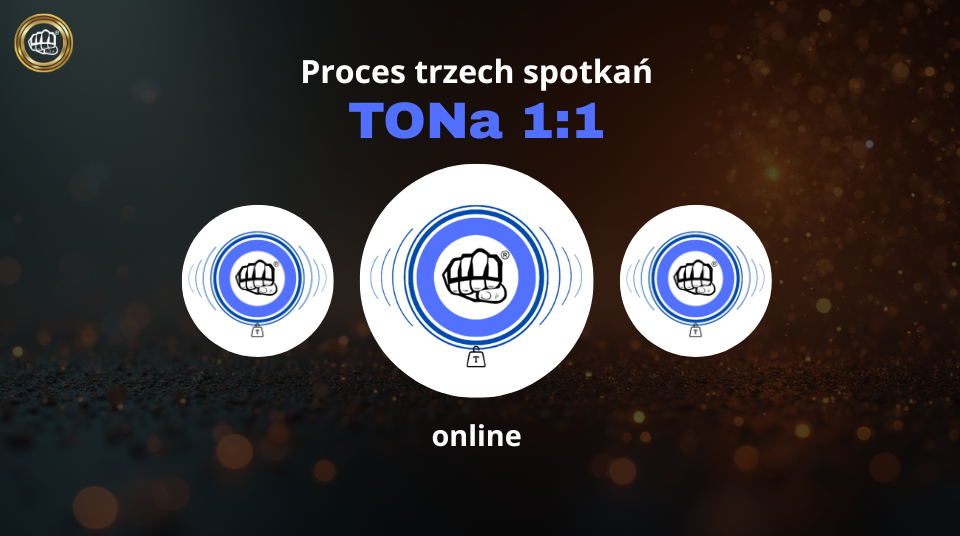 Proces trzech spotkań TONa 1:1 online - Głęboka Transformacja