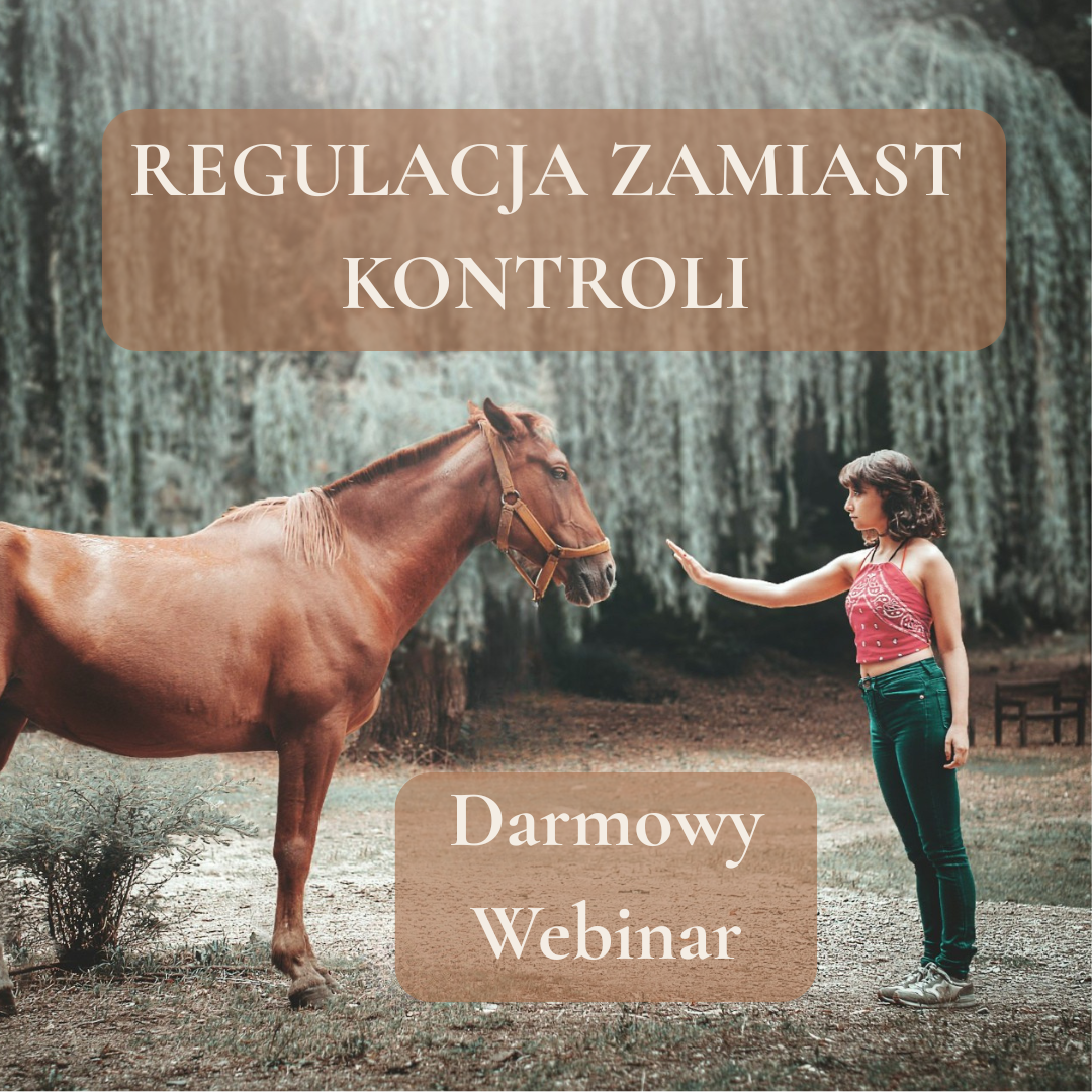 Darmowy Webinar - 