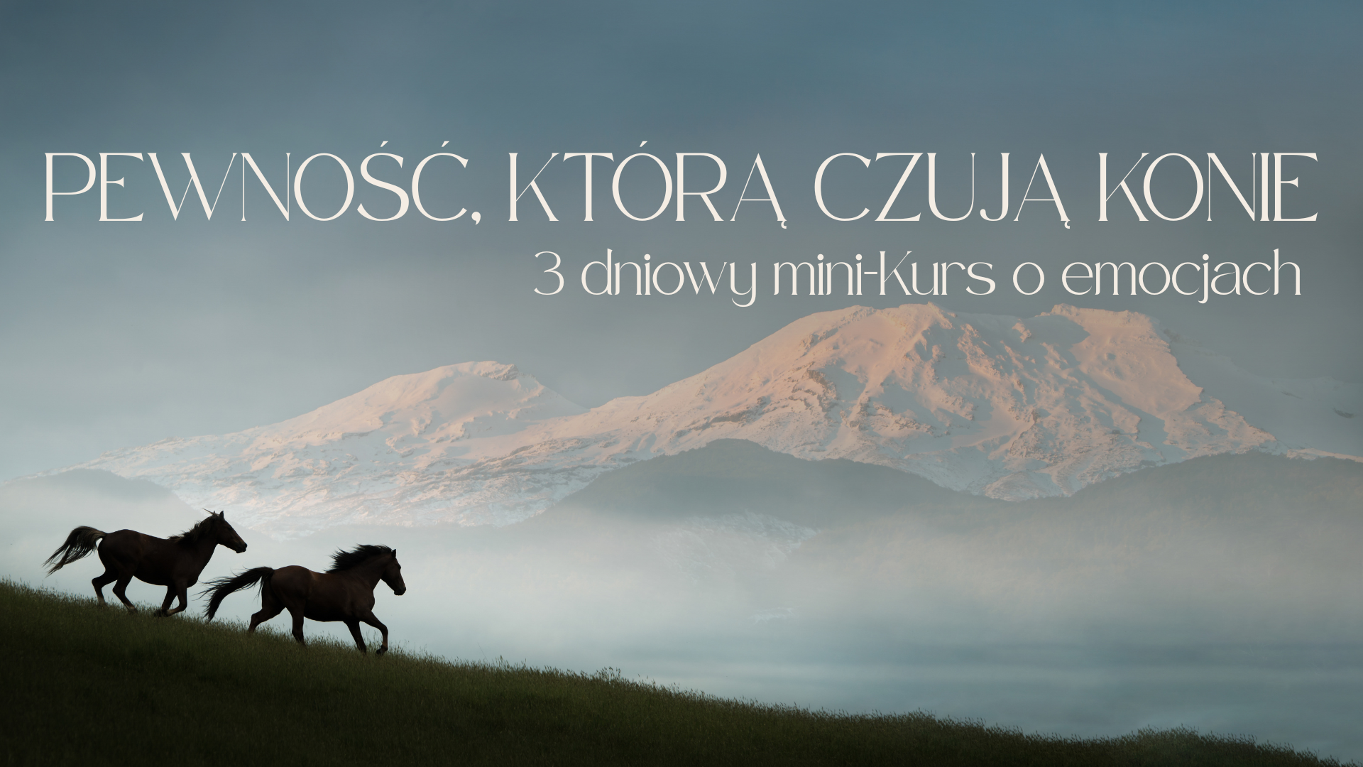 PEWNOŚĆ, KTÓRĄ CZUJĄ KONIE