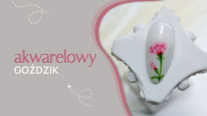 Akwarelowy GOŹDZIK