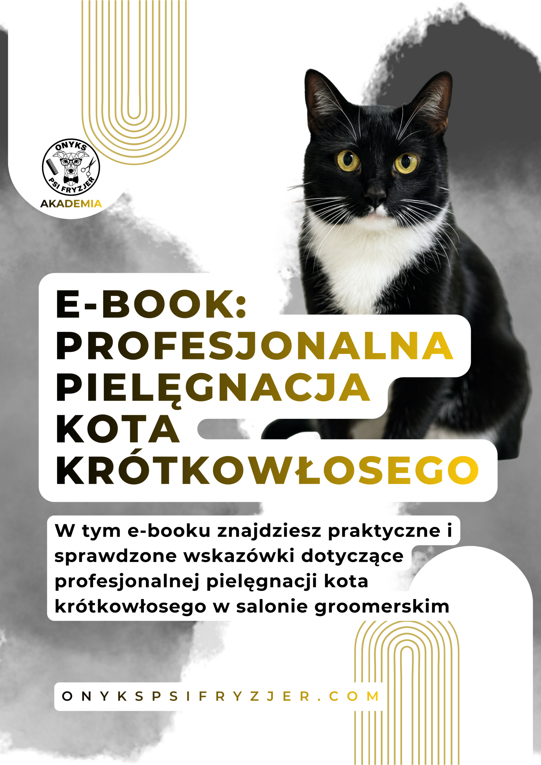 e-book Profesjonalna pielęgnacja kota krótkowłosego w salonie groomerskim