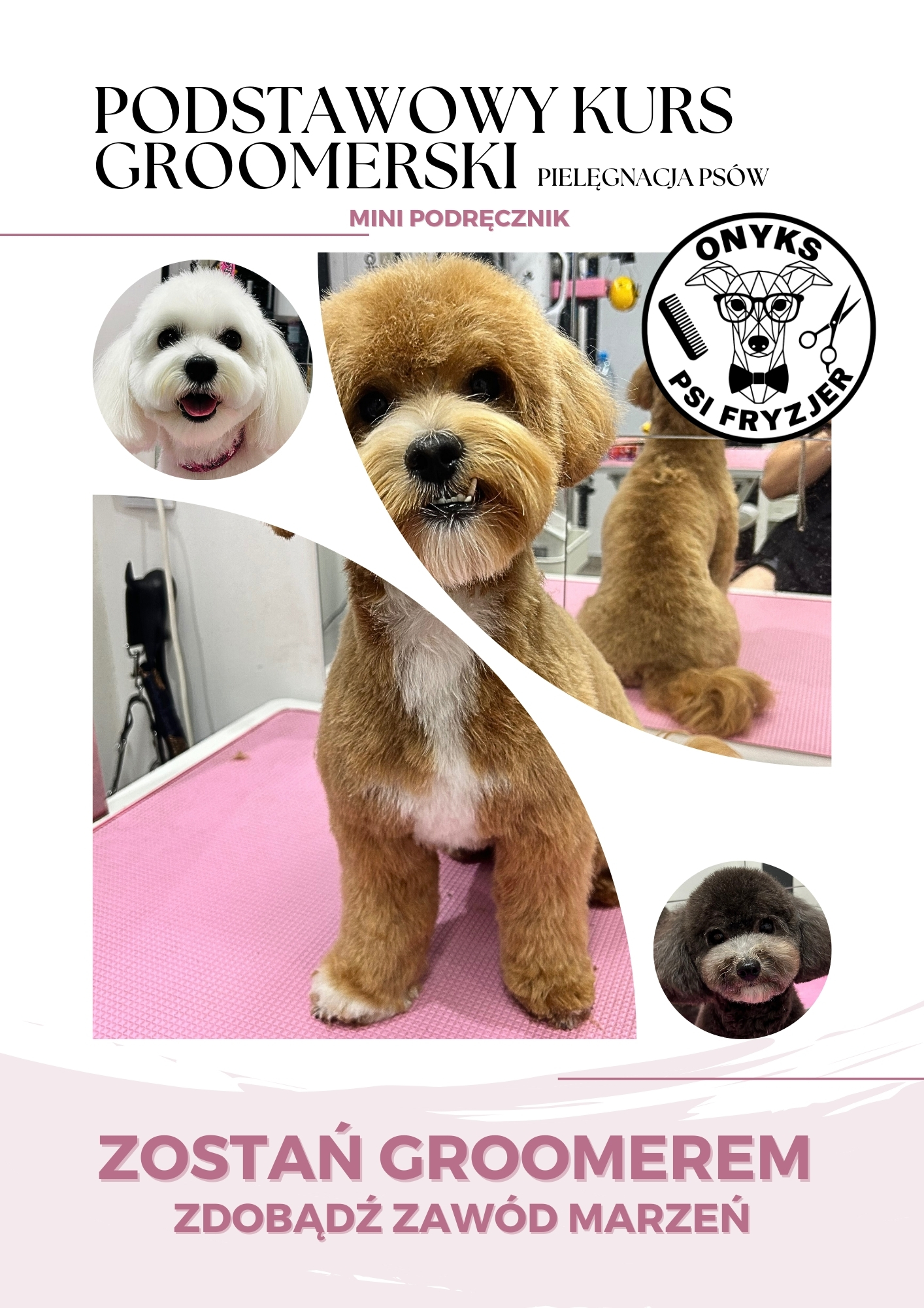 e-book MINI PODRĘCZNIK Do podstawowego kursu groomerskiego