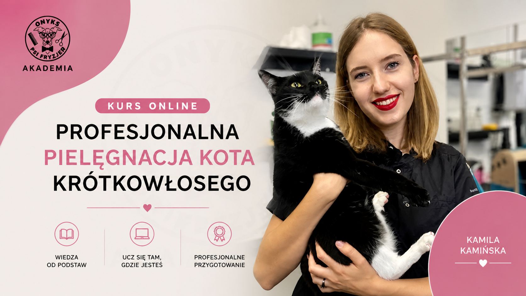 Profesjonalna pielęgnacja kota krótkowłosego