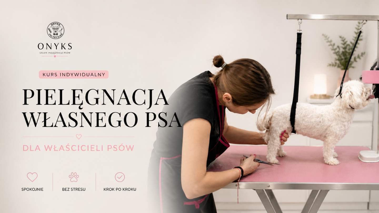 Kurs stacjonarny indywidualny dla właścicieli psów – PIELĘGNACJA WŁASNEGO PUPILA
