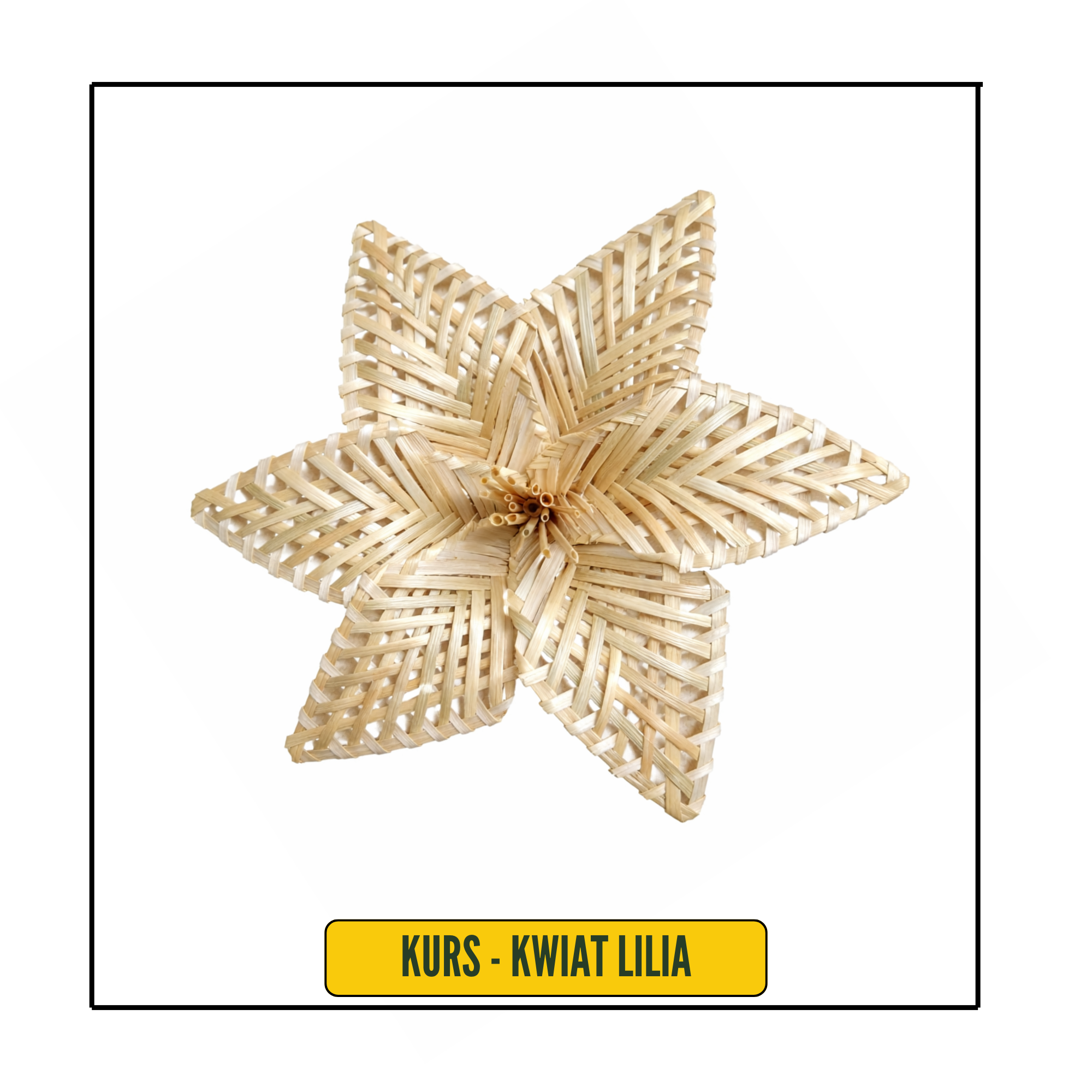 KURS - KWIAT ZE SŁOMY - LILIA