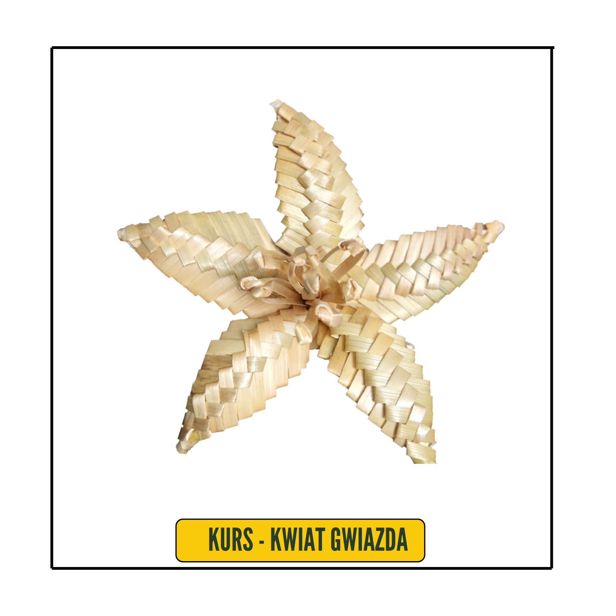 KURS - KWIAT ZE SŁOMY - GWIAZDA