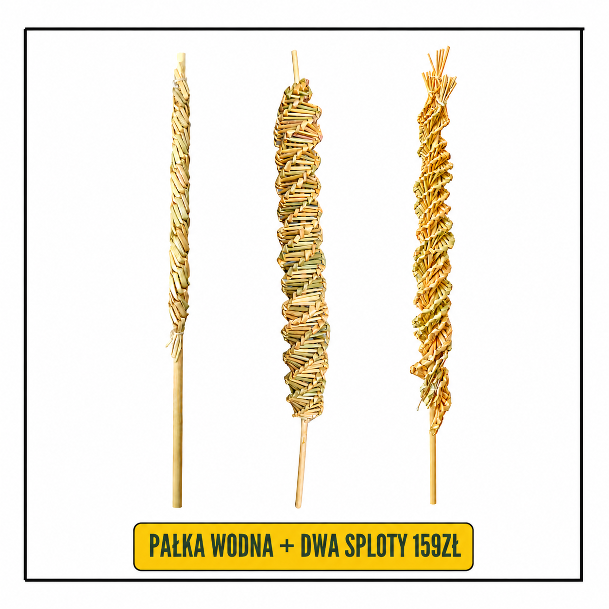 KURS - ZESTAW PAŁKA WODNA + 2 SPLOTY