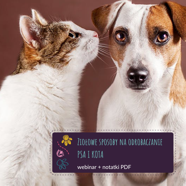 Ziołowe sposoby na odrobaczanie psa i kota