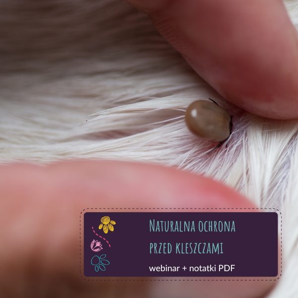 Naturalna ochrona przed kleszczami