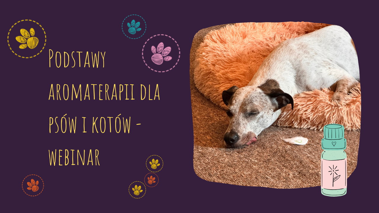 Podstawy aromaterapii dla psów i kotów - webinar