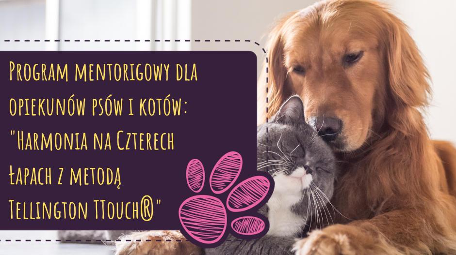 „Harmonia na Czterech Łapach z metodą Tellington TTouch®” PAKIET BASIC (STANDARD)
