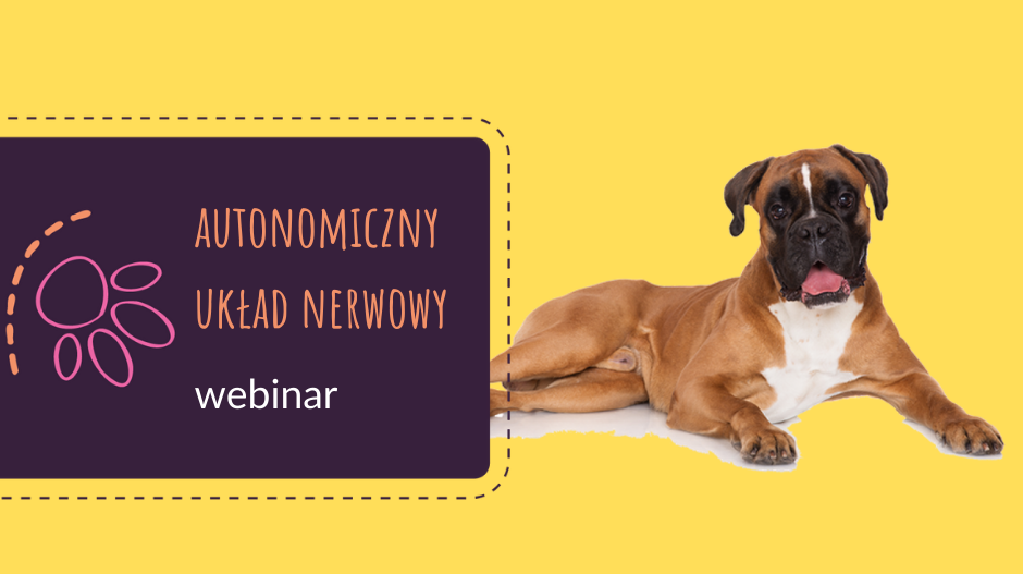 Autonomiczny Układ Nerwowy - czyli zrozum emocje swoje i psa!