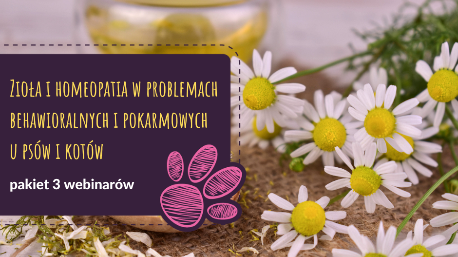 Zioła i homeopatia w problemach behawioralnych i pokarmowych u psów i kotów