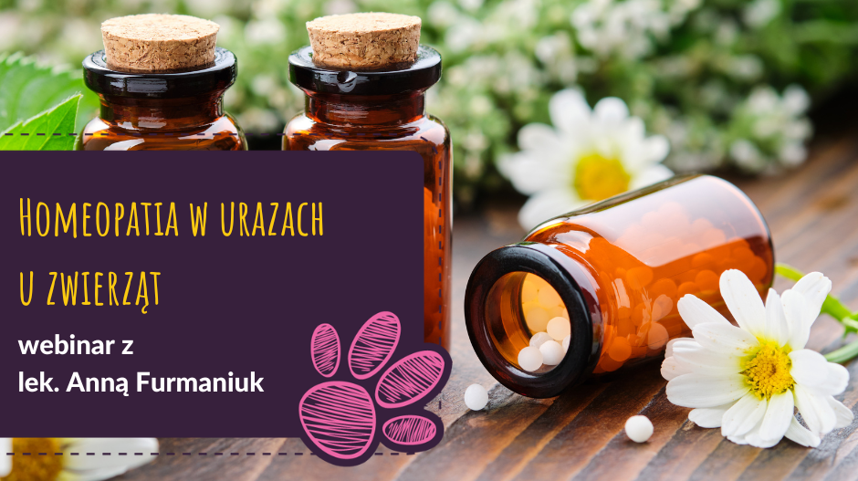 Homeopatia w urazach u zwierząt - webinar z lek. Anną Furmaniuk