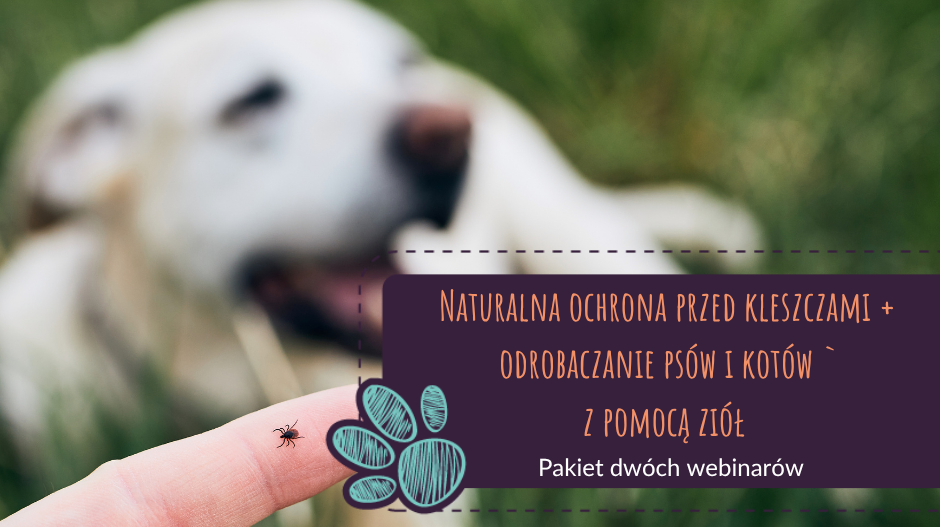 Naturalna ochrona przed kleszczami + odrobaczanie psów i kotów z pomocą ziół
