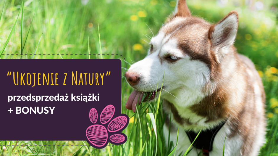 Przedsprzedaż książki: 